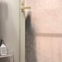 ドアを開ける猫