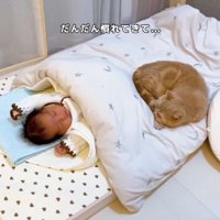 バンザイして眠る赤ちゃんの足元で丸くなる猫