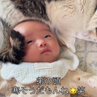 赤ちゃんと猫