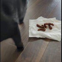 ティッシュの上に置かれたかりんとう