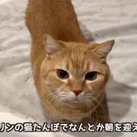 「前日は...」のテロップ写真