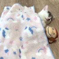 ブランケットをかけて