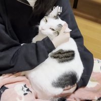 抱っこ(こちらを見る)