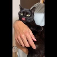 舌をペロリ