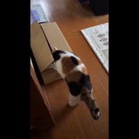 顔で蓋を押し開けて