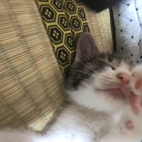 アップ