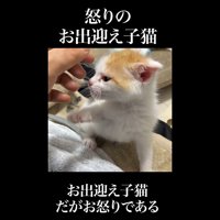 横顔