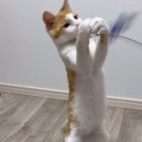 おもちゃを掴もうとする善くん