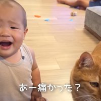 猫におやつをあげる赤ちゃん