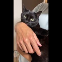 腕をペロペロ