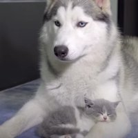 足の上で眠るミッキーくん