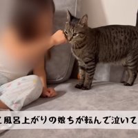 テロップ「そして風呂上りの～」