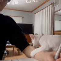 猛アピール