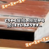 屋根裏