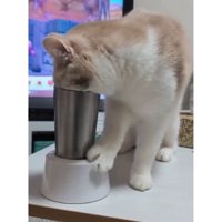猫とタンブラー
