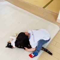 保護猫に覆いかぶさる男の子