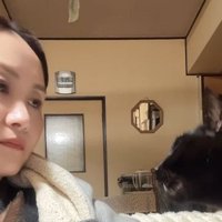見つめ合う猫と飼い主