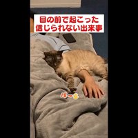 パ〜