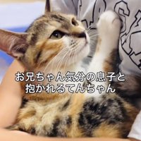 息子さんに抱っこされる子猫
