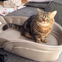 こちらを見上げるメルくん
