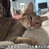 あまりの寒さに