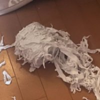 床に転がるトイレットペーパー