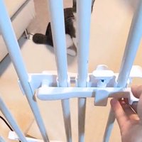 ペットゲートを開ける手と柵の隙間に覗く猫ちゃん