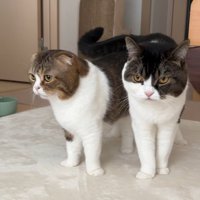 並ぶふたり