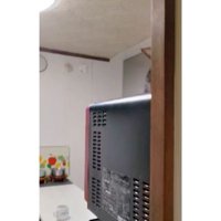 電子レンジの上の猫
