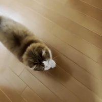 上から