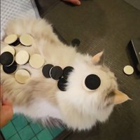 成長