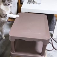 待ちきれない様子のリノちゃん