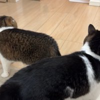 親子の後ろ姿