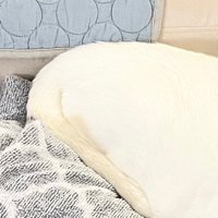 尻尾をしまった白猫ちゃん