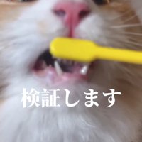 歯ブラシに噛みついている猫