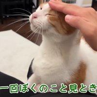 撫でられる師匠