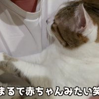 赤ちゃんのようなコトくん