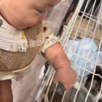 子猫を見つめる赤ちゃん