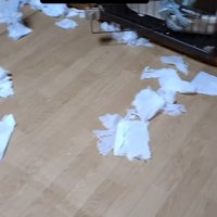 散らばった部屋