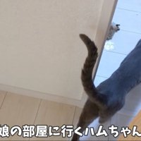 そして娘さんの部屋へ