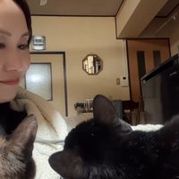 首をかしげる猫の後頭部