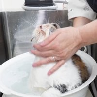 上を向いて