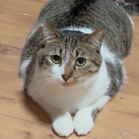 座っているぴえんくん