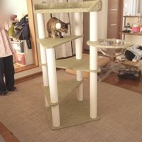 登ったたっちゃんとママさん