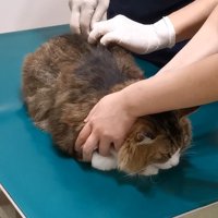 注射