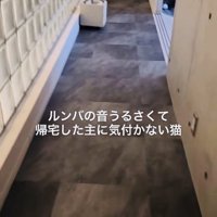 誰もいない廊下