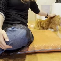 お尻トントン
