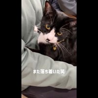 また落ち着いた