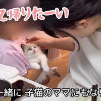 連れて帰りたーい