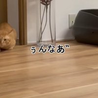 ぅんなあ゛
